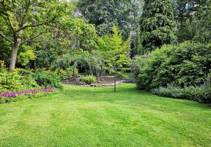 Optimiser l'expérience du jardin à Taisnieres-en-Thierache
